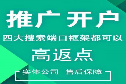 百度竞价排名实战：某行业领先企业的成功之路